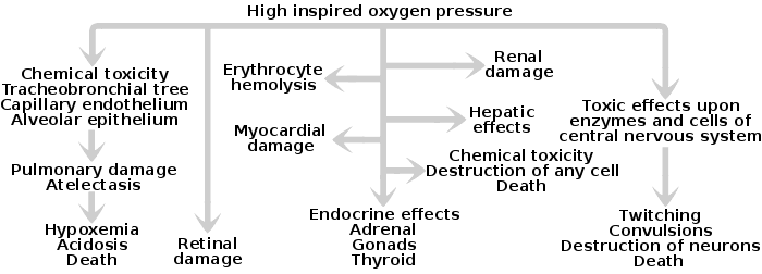 The effects of high inspired oxygen pressure: (1) chemical toxicity, pulmonary damage, hypoxemia; (2) retinal damage, erythrocyte hemolysis, liver damage, heart damage, endocrine effects, kidney damage, destruction of any cell; (3) toxic effects on central nervous system, twitching, convulsions, death.
