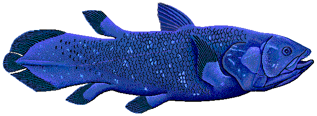 File:Coelacanth flipped.png