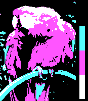 Screen color test CGA 4colors Mode4 Palette1 HighIntensity.png