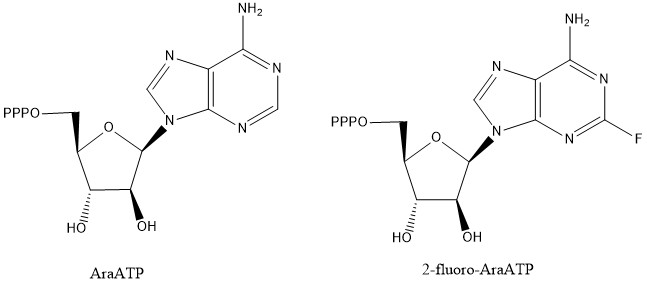 File:Inhibitor Structures.jpg
