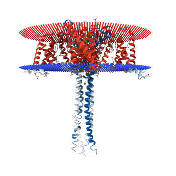 File:Crystal Structure of N-Type Channel.png