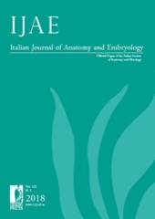 Italian Journal of Anatomy and Embryology.jpg