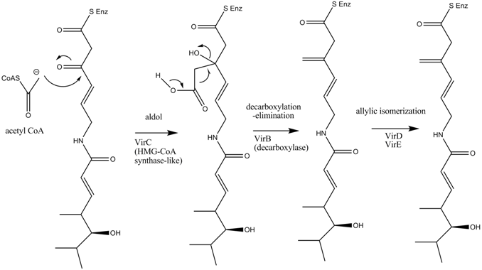 MethylationVM1.png