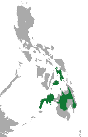 Mindanao Shrew area.png