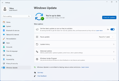 File:Windows Update screenshot.png