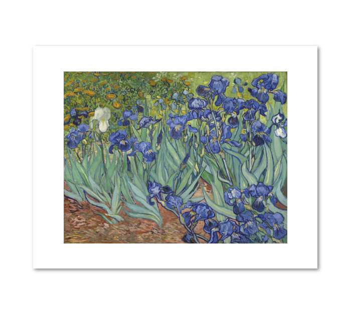 File:Irises, Vincent Van Gogh.png - HandWiki