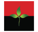 All Malaysian Indian Progressive Front logo.jpg