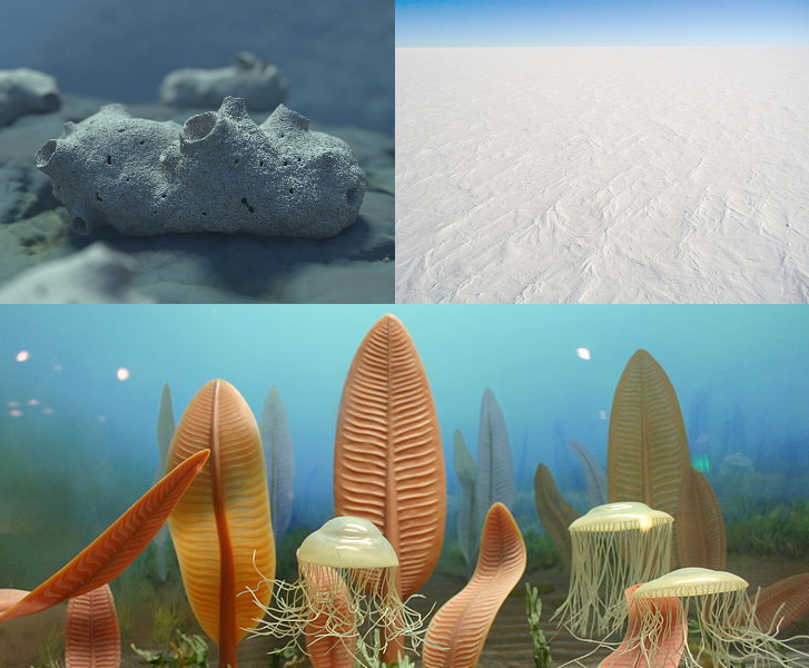 File:Neoproterozoic collage.png