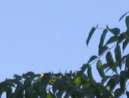 File:Venus in daylight 2005 12 05.jpg