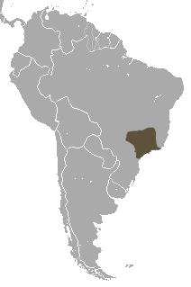 Black-fronted Titi area.png