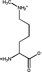 Methyllysine.png