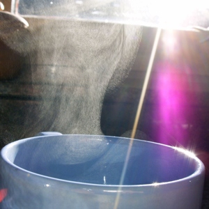 File:Watervapor cup.jpg