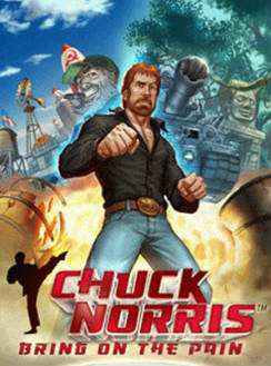 Chuck Norris Bring on the pain cover.jpg