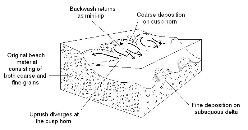 File:Schematic showing beach cusp morphology.JPG