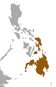 Philippine Flying Lemur area.png