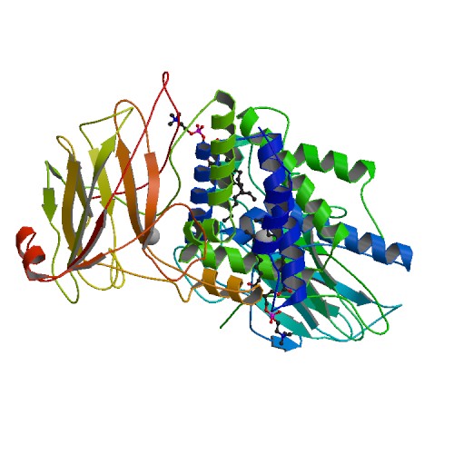 File:Structure of Catechol 1,2-dioxygenase from Acinetobacter Calcoaceticus Native Data.jpg