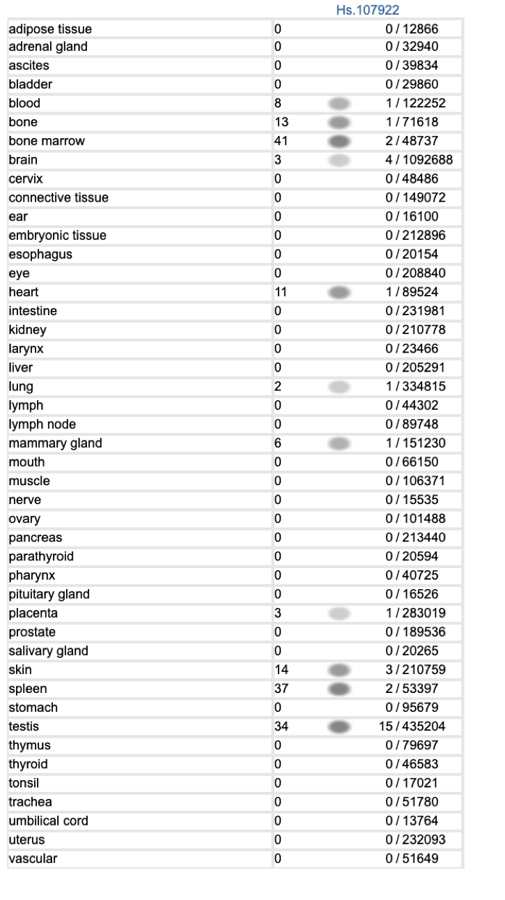 Gene Expression FAM178B.png