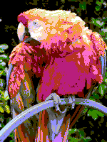 Parrot NES example.png