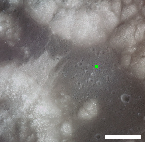 File:Sherlock crater location AS17-151-23251.jpg