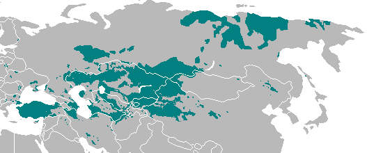 File:Turkic language map-present range.png