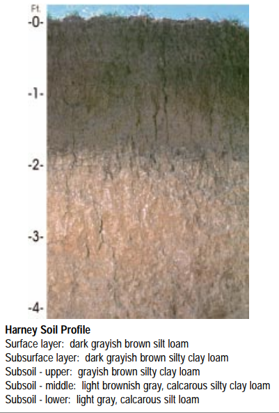 File:Harney soil profile (Kansas State Soil).png