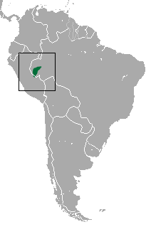 White-mantled Tamarin area.png