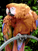 CommodorePlus4 palette sample image.png