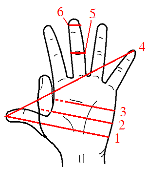 File:Hand Units of Measurement.PNG