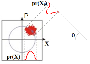 Figure 3: Marginal Distribution