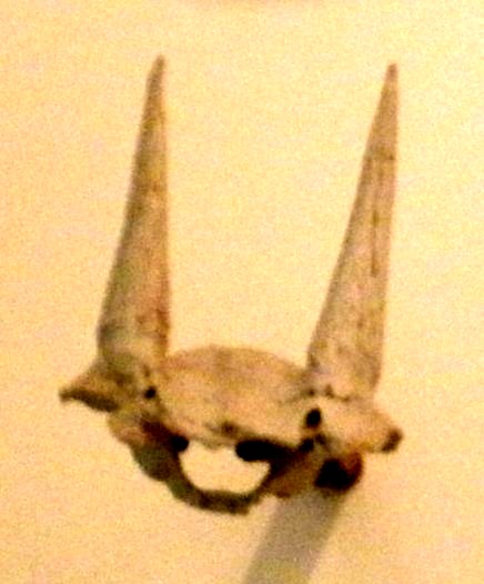 File:Eotragus sansaniensis.JPG