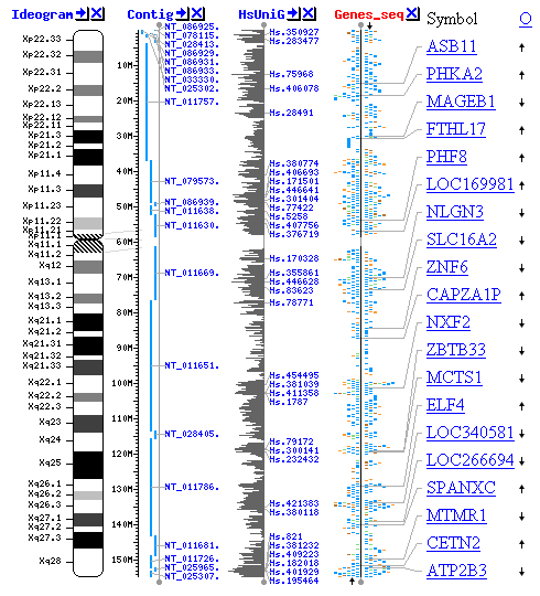 File:Genome viewer screenshot small.png