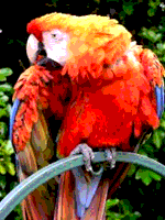 RGB 6-7-6-levels palette sample image.png