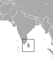 Sri Lankan Shrew area.png