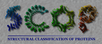 Structural Classification of Proteins database logo.gif