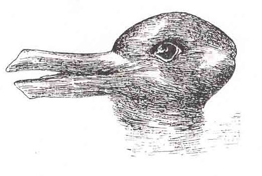 File:Duck-Rabbit illusion.jpg