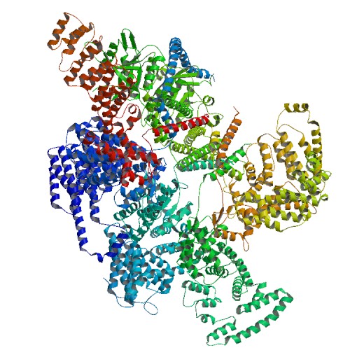 File:Structure of mammalian eIF3 in the context of the 43S preinitiation complex PDB 5A5T.jpg