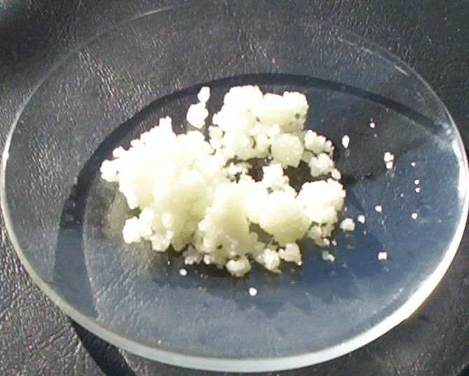 File:Dysprosium(III) chloride.jpg