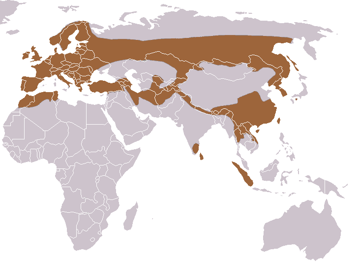 File:European Otter area.png