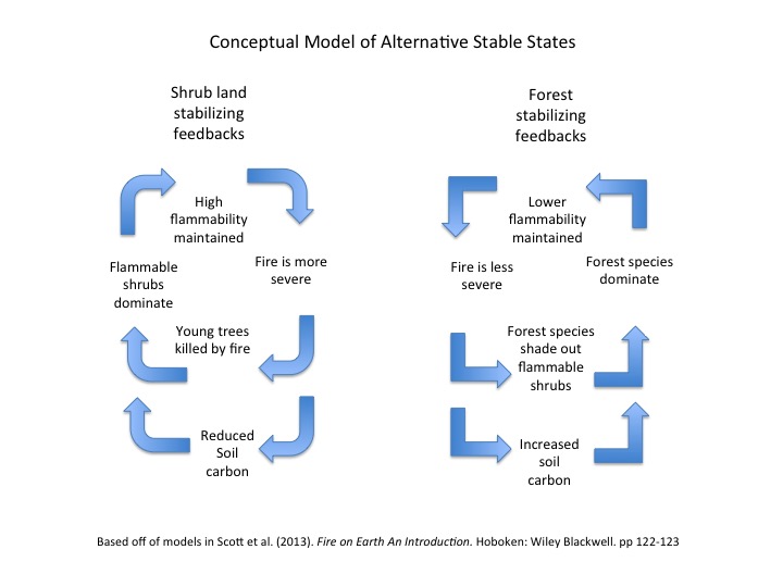 File:Alternative stable states.jpg