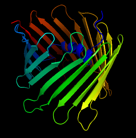 File:Human Voltage-Dependent Anion Channel Protein Structure.png
