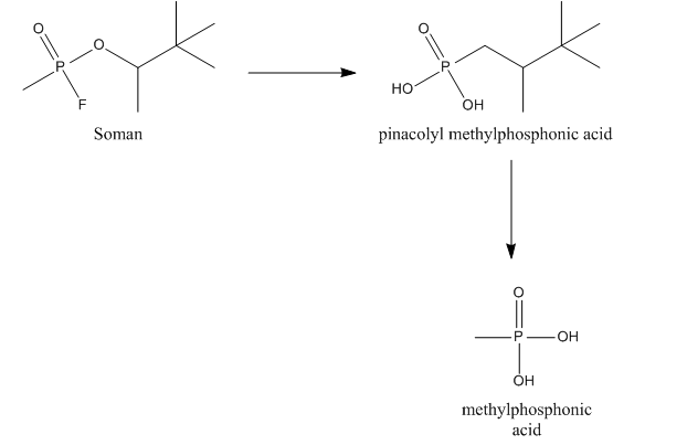 File:Metabolisim of Soman.png