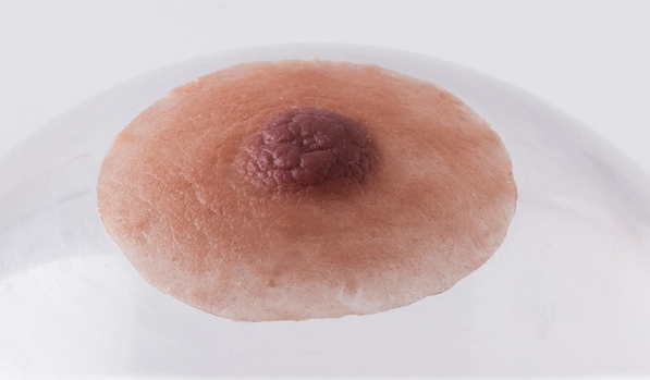 File:Nipple Prosthesis made by Pink Perfect.png
