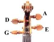 Violin peg strings.jpg