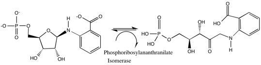 File:Phosphoribosylanthranilate isomerase.jpg