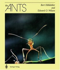 The Ants (Wilson Hölldobler book).jpg