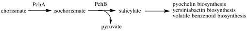 File:Salicylate Biosynthesis I Pathway.jpg