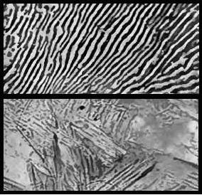 File:Photomicrograph of annealed and quenched steel, from 1911 Britannica plates 11 and 14.jpg