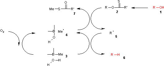 Barton-McCombie deoxygenation reaction mechanism