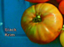File:Black-krim-heirloom-tomato.jpg