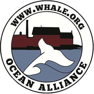 File:Ocean Alliance Logo.png